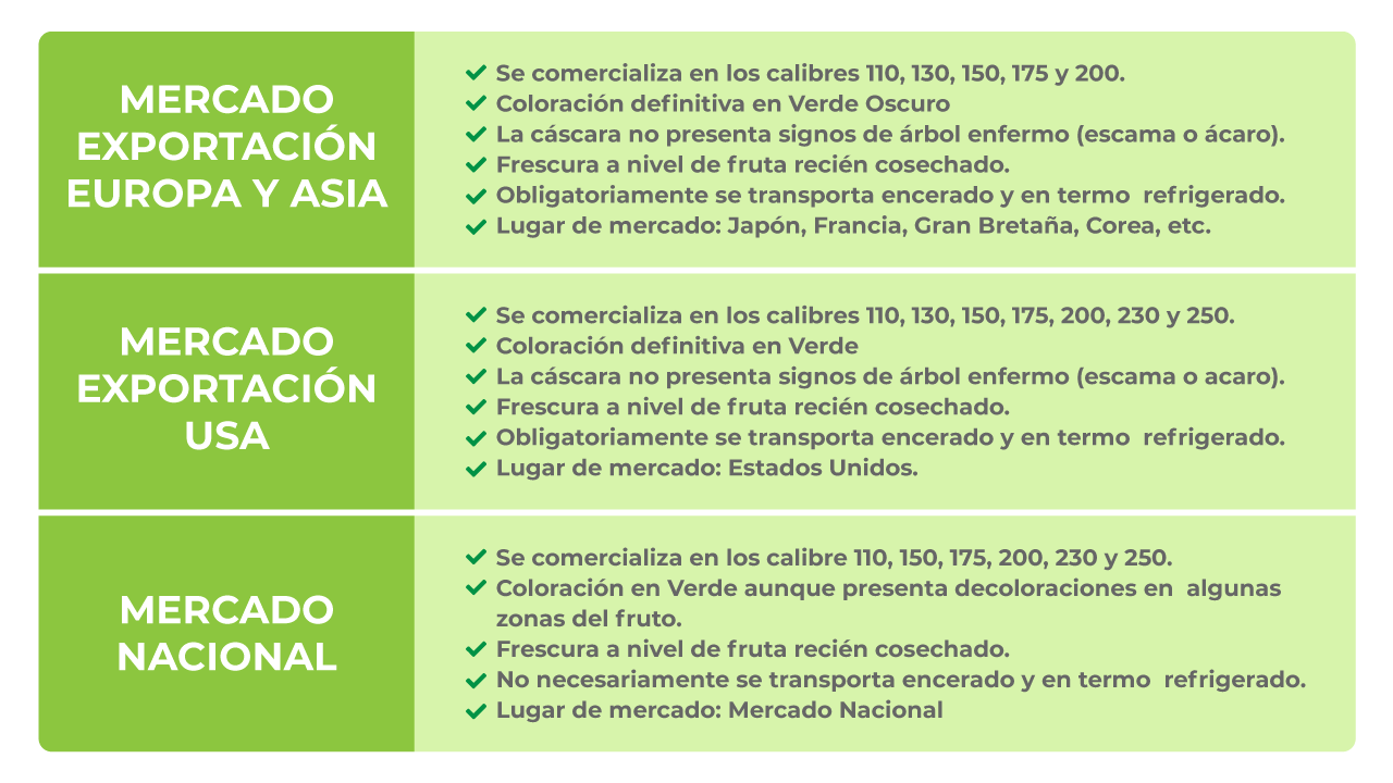 tabla de características limón persa